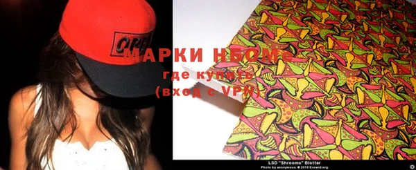 гашик Арсеньев